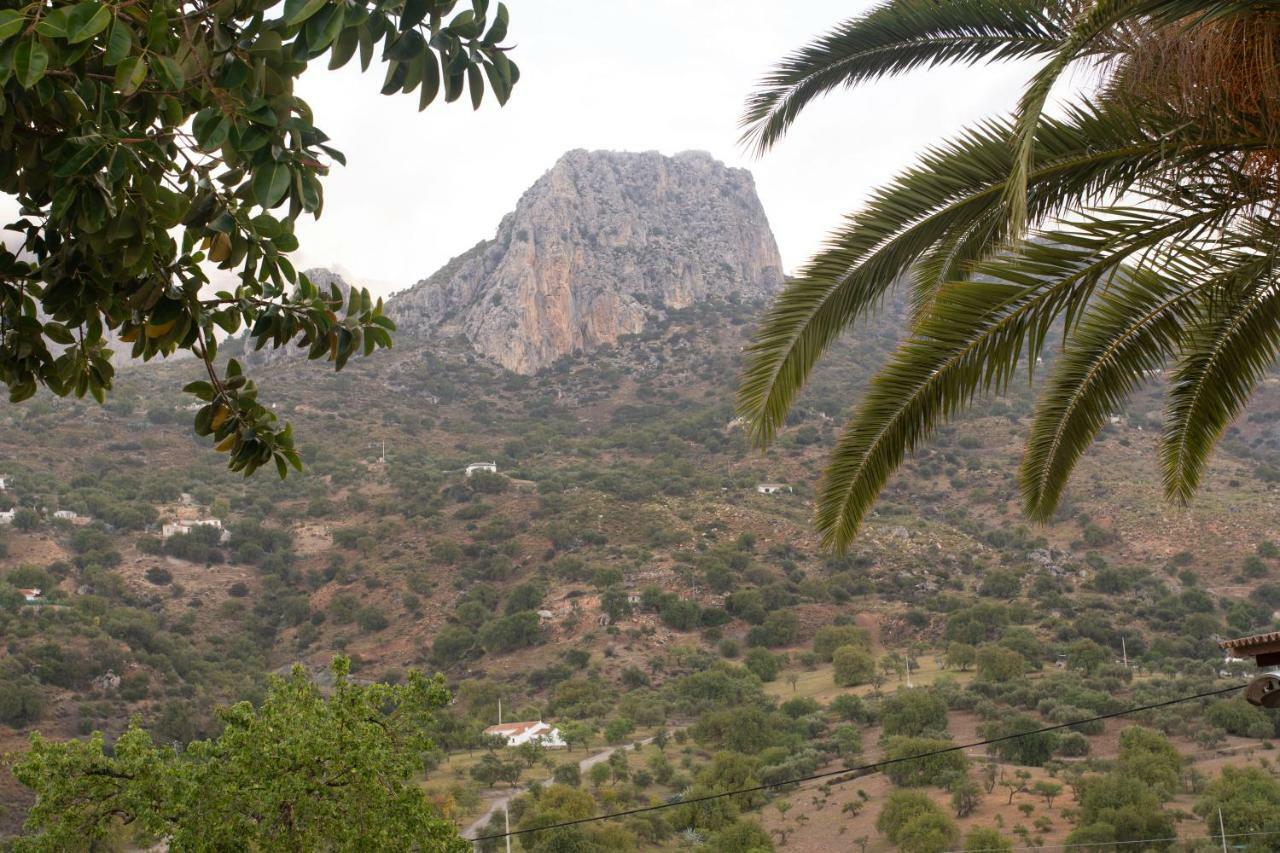 Lagar Del Chorro Junto Caminito Del Rey Piscina Y Baloncesto Lejlighed Eksteriør billede